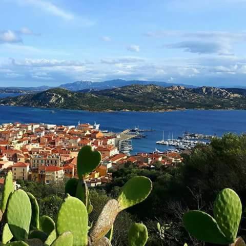 לה מדלנה Sweet Home La Maddalena מראה חיצוני תמונה